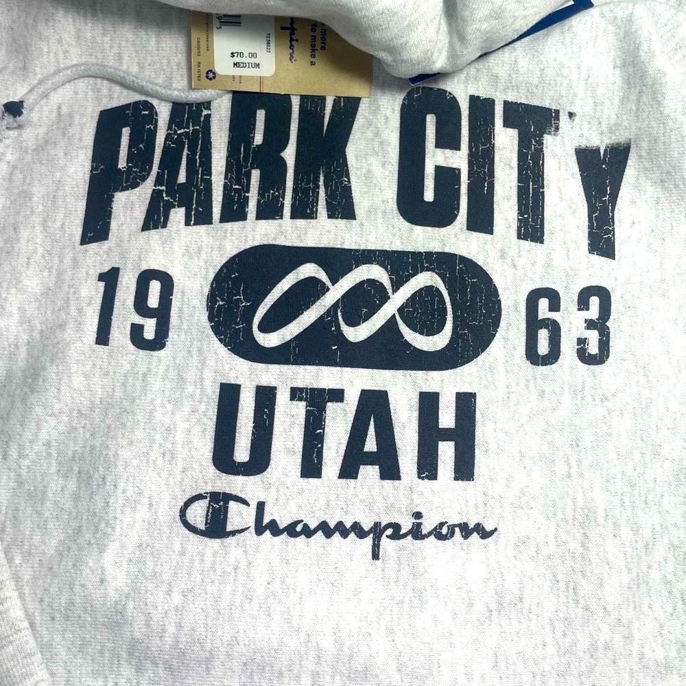 BNWT Champion Reverse Weave Park City Distressed Hoodie Unisex M PRICE FIRM - Picture 5 of 16